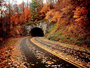fall