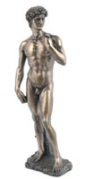 david
